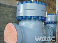 Cast Check Valve